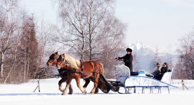 Billet Balade en traîneau à cheval près de Chambéry
