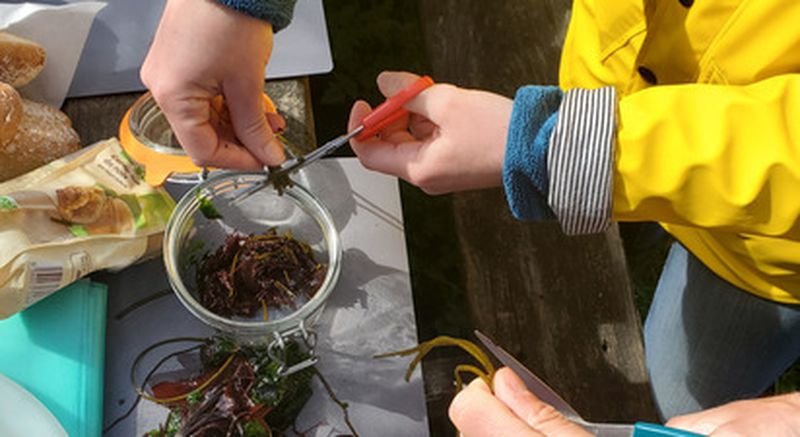 Billet Sortie en bord de mer et atelier cuisine près de Crozon