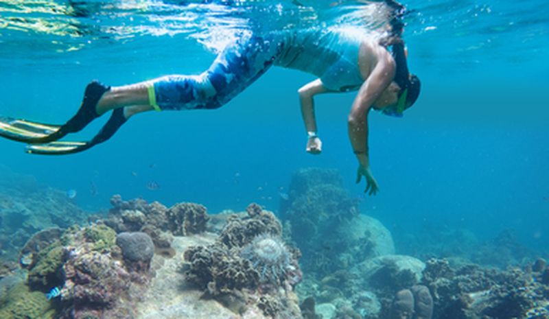 Billet Snorkeling sur la Côte Vermeille