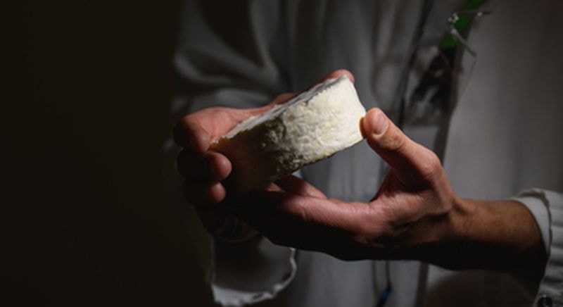 Billet Atelier accords fromages et vins Musée du Fromage à Paris 4ème