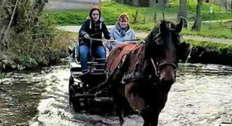 Billet Balade en calèche à Mentheville près de Fécamp