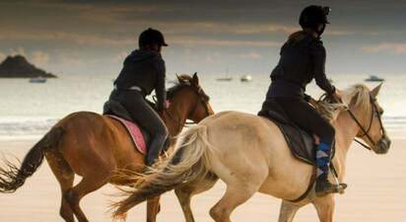 Billet Balade à Cheval à Plurien (22)