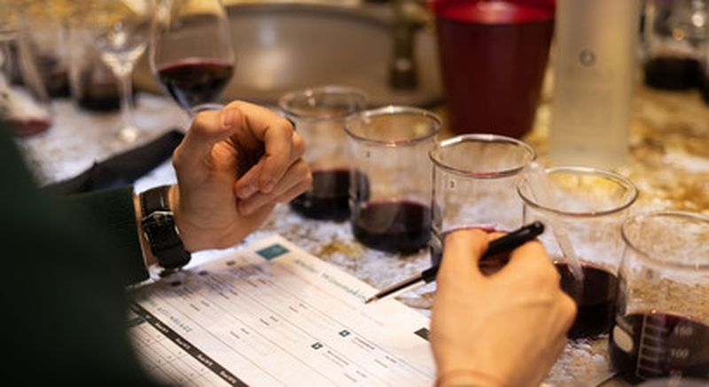 Billet Assemblage de son propre vin aux Caves du Louvre