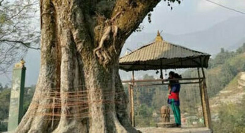 Billet Séjour atypique à la maison des Oiseaux près de Bruxelles