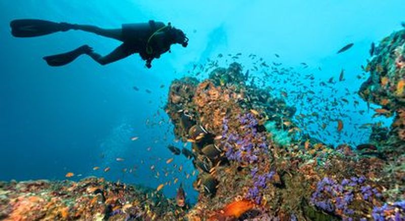 Billet Baptême de plongée à Cerbère près de Perpignan