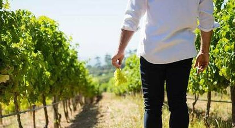 Billet Atelier d'œnologie près d'Avignon