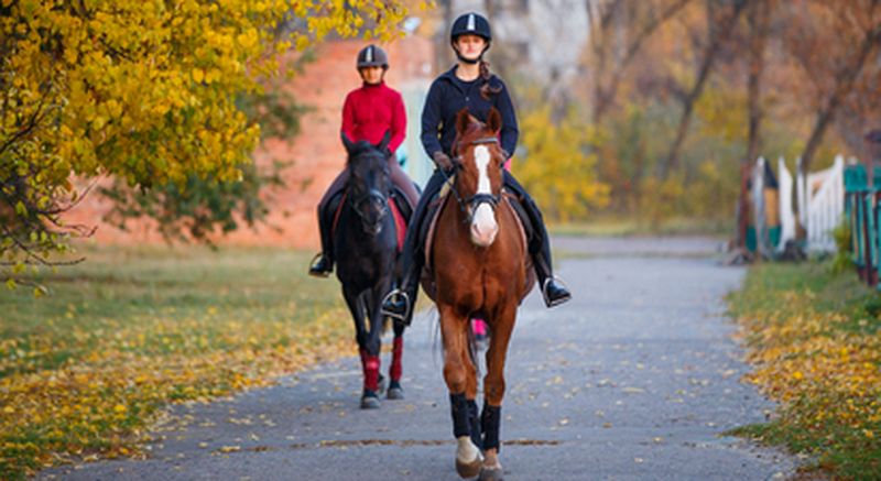 Billet Cours d'équitation près de Rambouillet