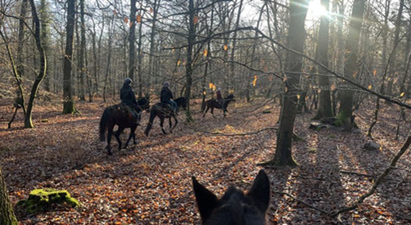 Billet Balade à cheval près de Chantilly à Aumont-en-Halatte