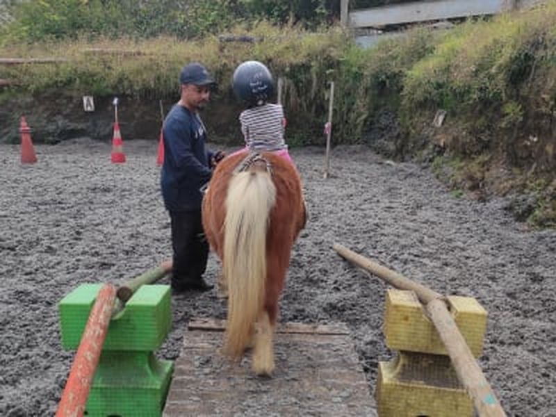 Billet Baby poney sur le Piton Maïdo, La Réunion