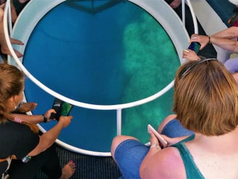 Billet Observation des cétacés en bateau à hublot à Saint-Gilles-les-Bains, La Réunion