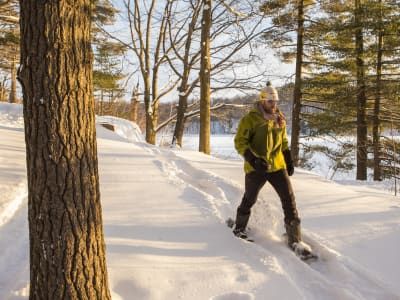 Billet Location de raquettes dans le parc du Mont-St-Bruno, Montréal