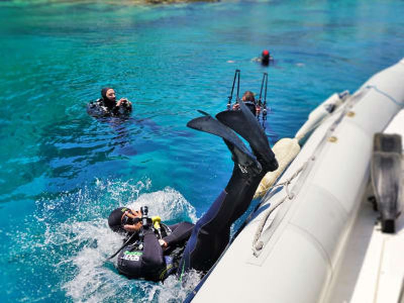 Billet Plongée guidée en bateau à St. Peter's Reef, au départ d'Alonissos