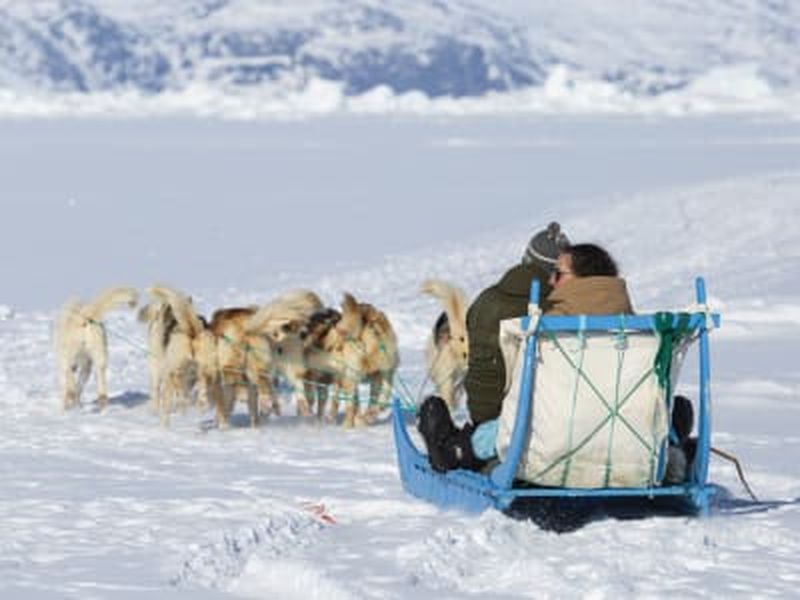 Billet Randonnée guidée en chiens de traîneau à Ilulissat