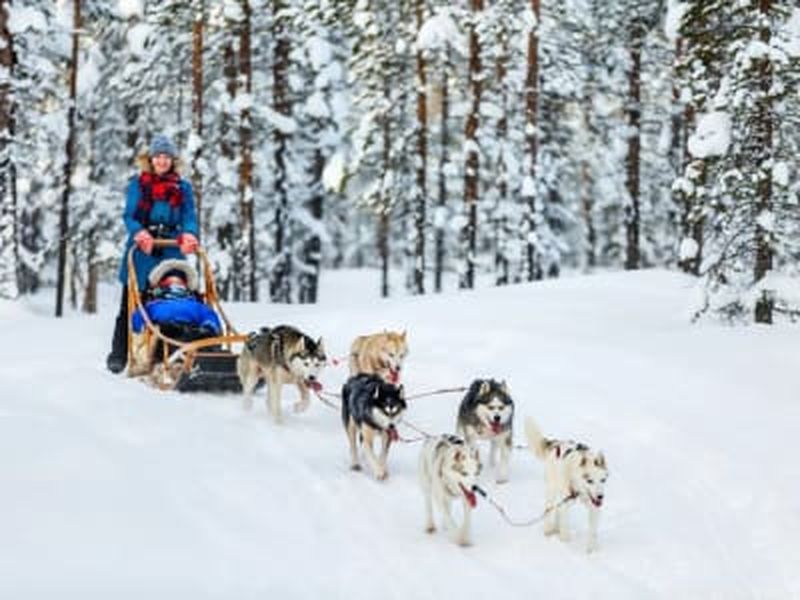 Billet Excursion en chiens de traîneau aux Carroz d'Arâches, Le Grand Massif