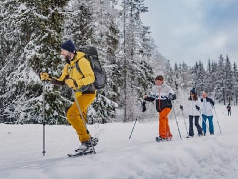 Billet Randonnée en raquettes dans la forêt d'Oslo