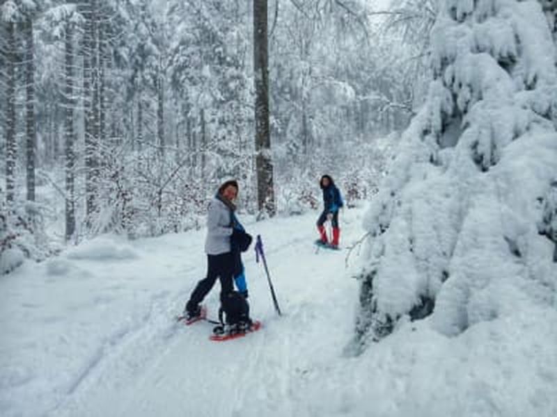 Billet Excursion en raquettes dans le parc national Adamello Brenta au départ d'Andalo