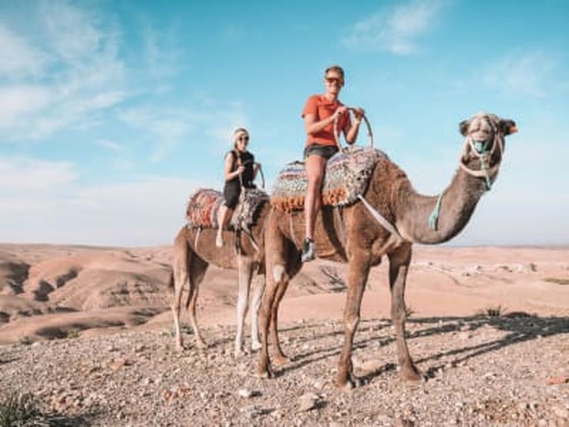 Billet Promenade en dromadaire au coucher du soleil dans le désert d'Agafay avec dîner traditionnel au départ de Marrakech