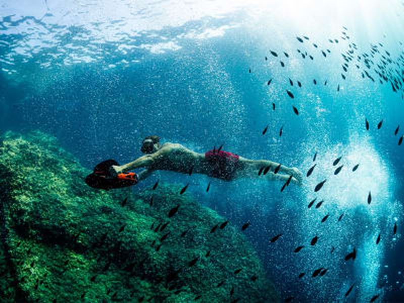 Billet Snorkeling en scooter sous-marin dans les calanques des îles du Frioul depuis le Vieux-Port de Marseille