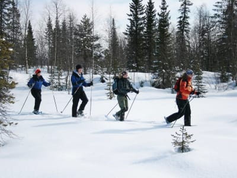 Billet Randonnée en raquettes à Kiruna