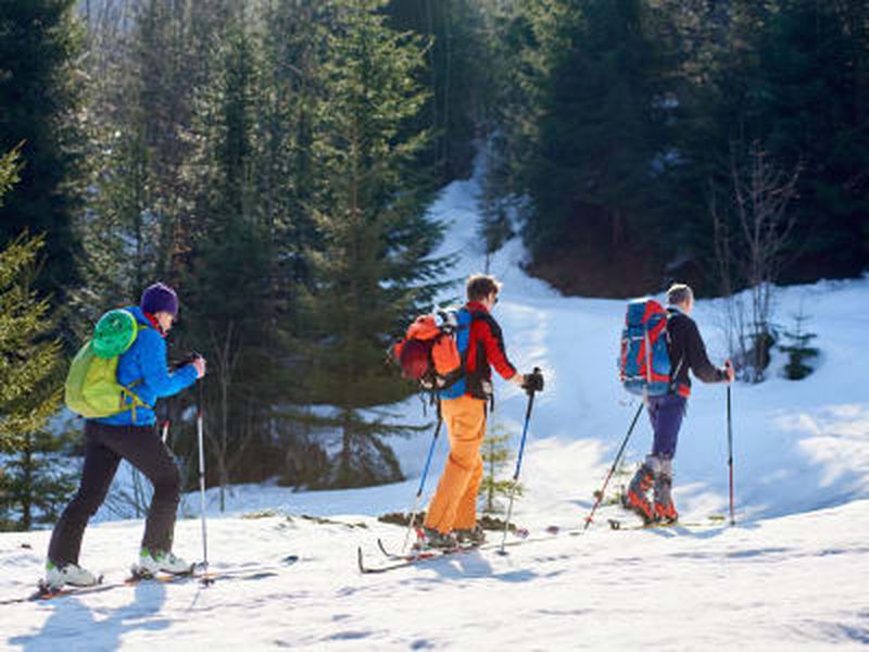Billet Randonnée guidée en raquettes dans la vallée de Stubai dans le Tyrol, près d'Innsbruck