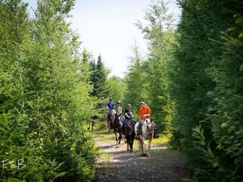 Billet Balade à cheval dans les Laurentides, à Val-des-Lacs