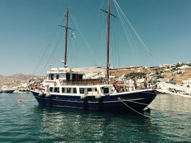 Billet Croisière en bateau de Mykonos aux îles de Delos et de Rhénia