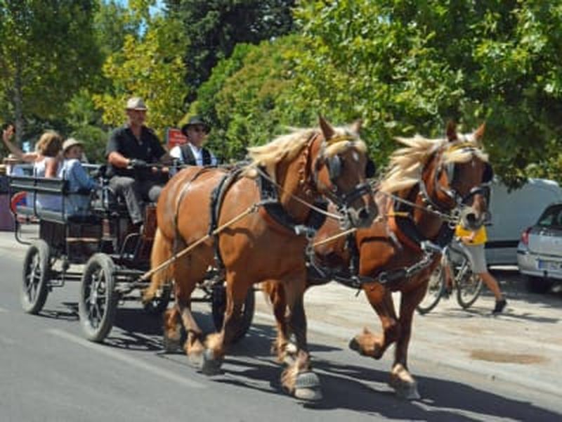 Billet Balade en calèche à Lansargues, près de Montpellier