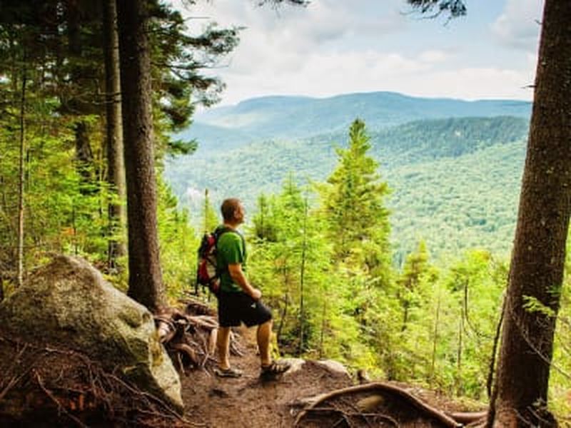 Billet Randonnée dans le parc national de la Jacques-Cartier au départ de Québec