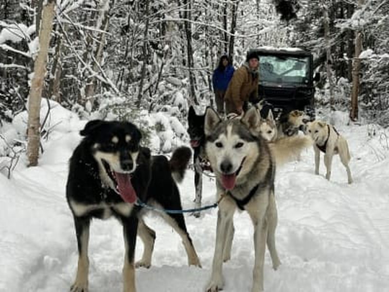Billet Balade en cani-kart près de Saguenay, à La Baie
