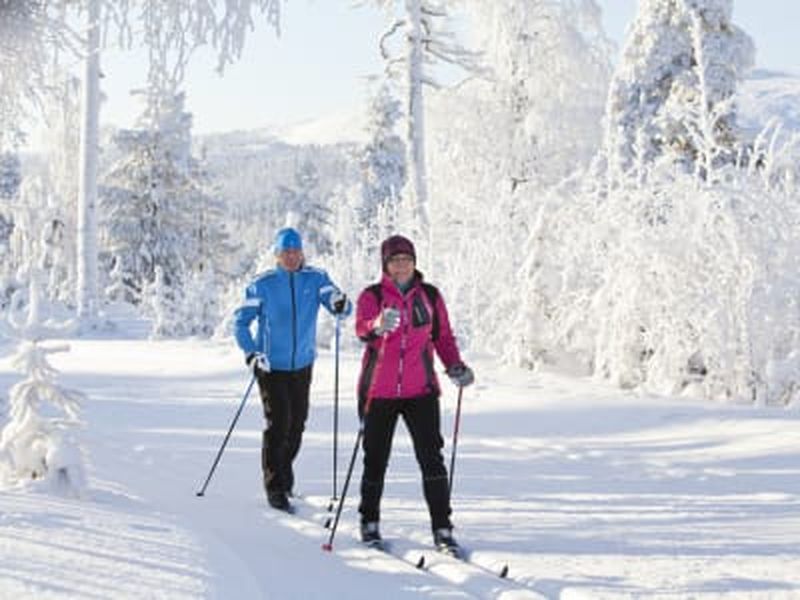 Billet Ski de fond en Laponie près de Rovaniemi