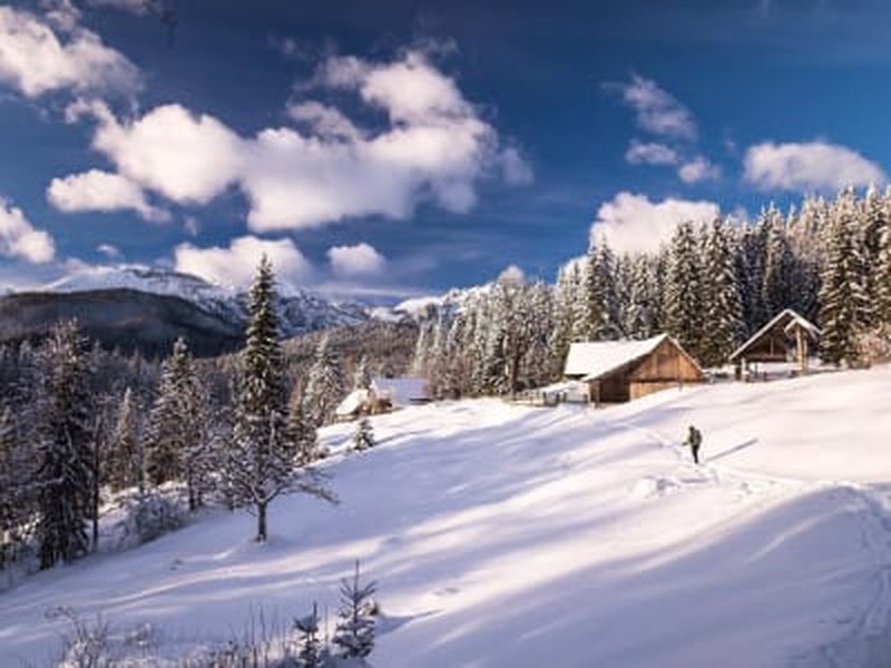 Billet Randonnée guidée en raquettes dans la vallée de Stubai dans le Tyrol, près d'Innsbruck