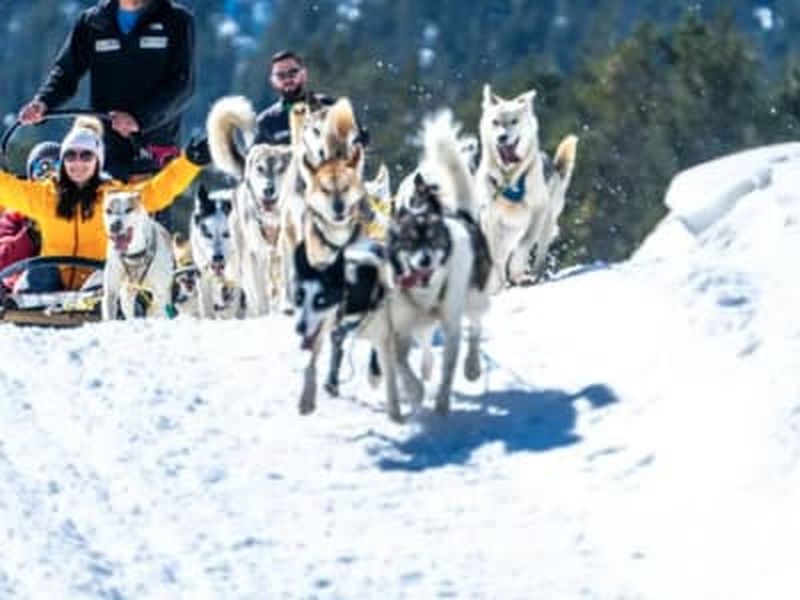 Billet Randonnée en chiens de traîneau depuis Grau Roig, Grandvalira, Andorre