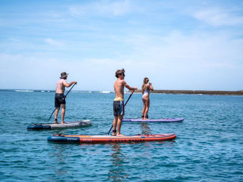 Billet Excursion guidée en stand up paddle dans la baie de la Table au Cap