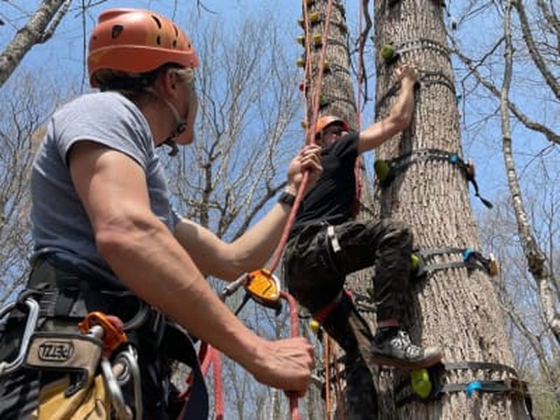 Billet Découverte de l'escalade dans les arbres dans les Laurentides, à Val-des-Lacs
