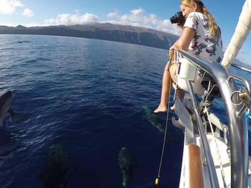 Billet Observation des baleines et snorkeling en voilier depuis El Hierro