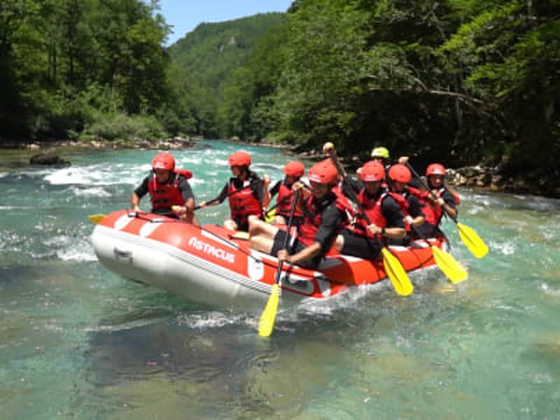 Billet Aventure de rafting d'une journée sur la rivière Tara dans le parc national de Durmitor