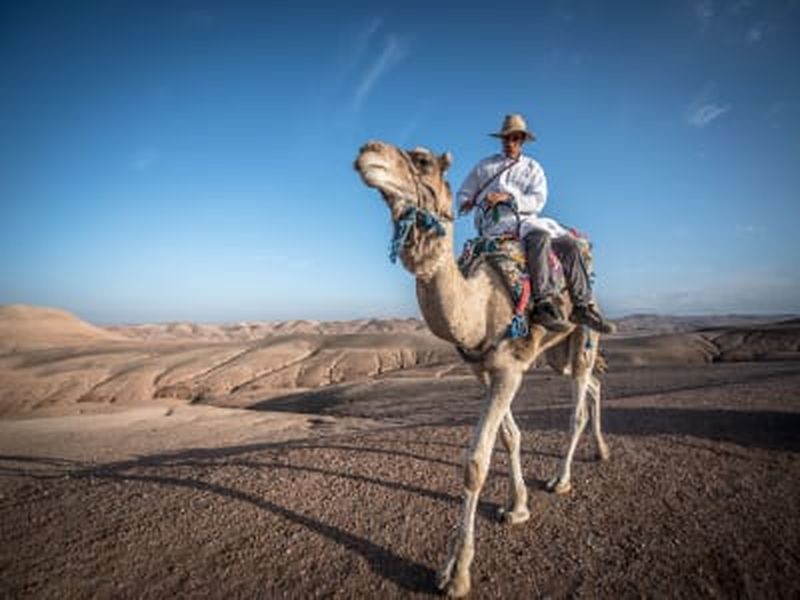 Billet Randonnée Quad et Dromadaire dans les montagnes et désert de Jbilets, Marrakech