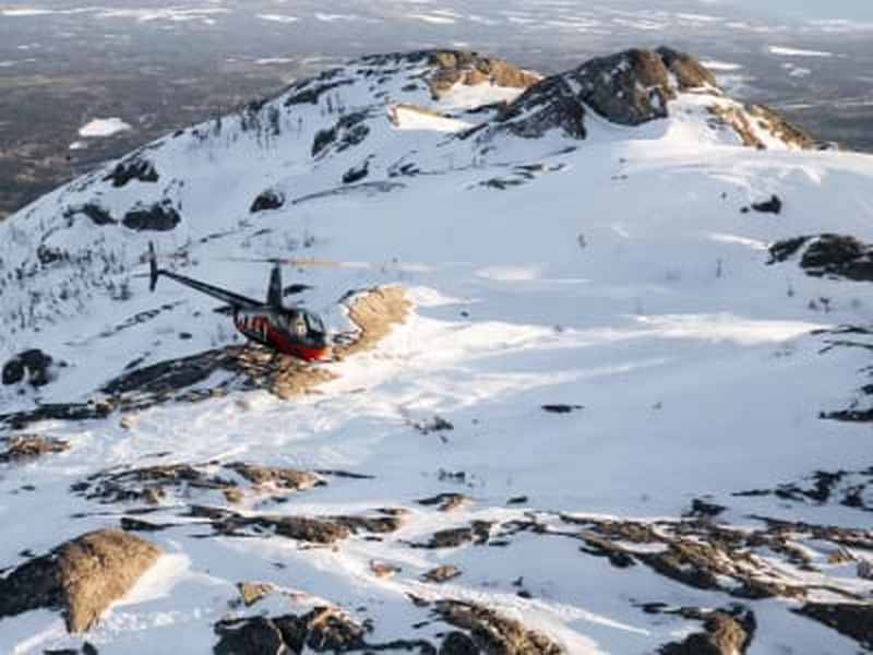 Billet Observation en hélicoptère des orignaux à Charlevoix, Québec