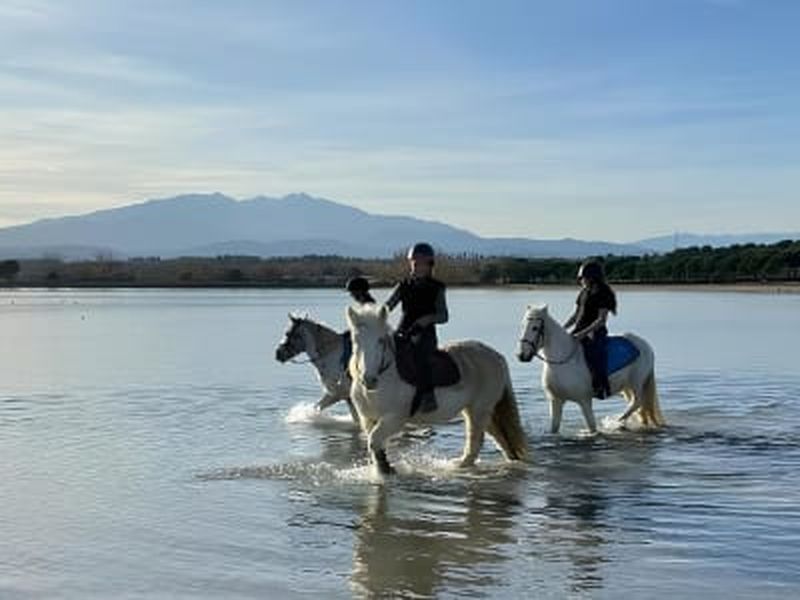 Billet Balade à cheval près de de Saint-Cyprien