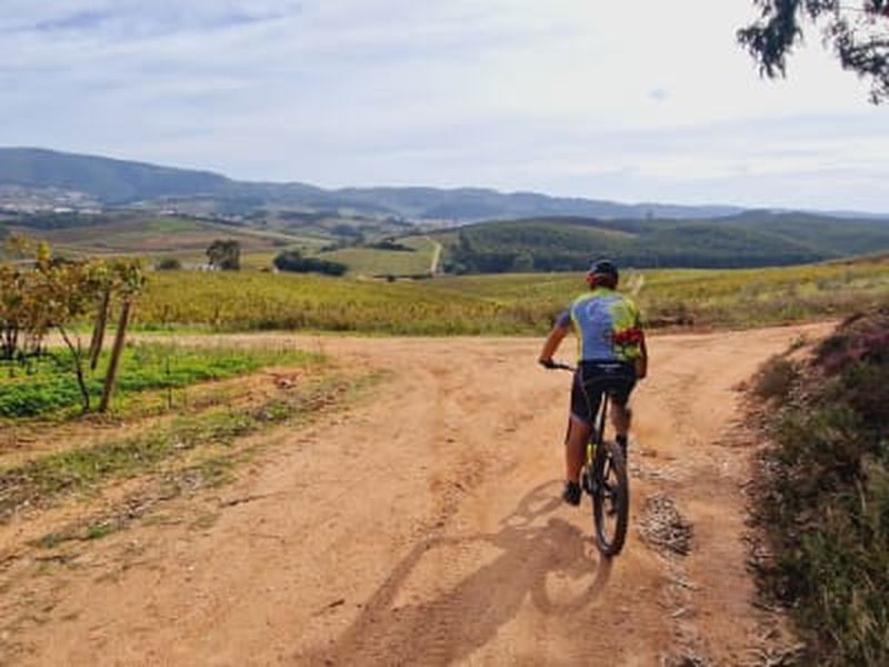 Billet Circuit de luxe en E-Bike autour d'Óbidos, près de Lisbonne