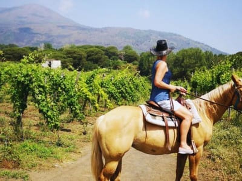Billet Balade à cheval dans les vignobles du Vésuve depuis Pompéi