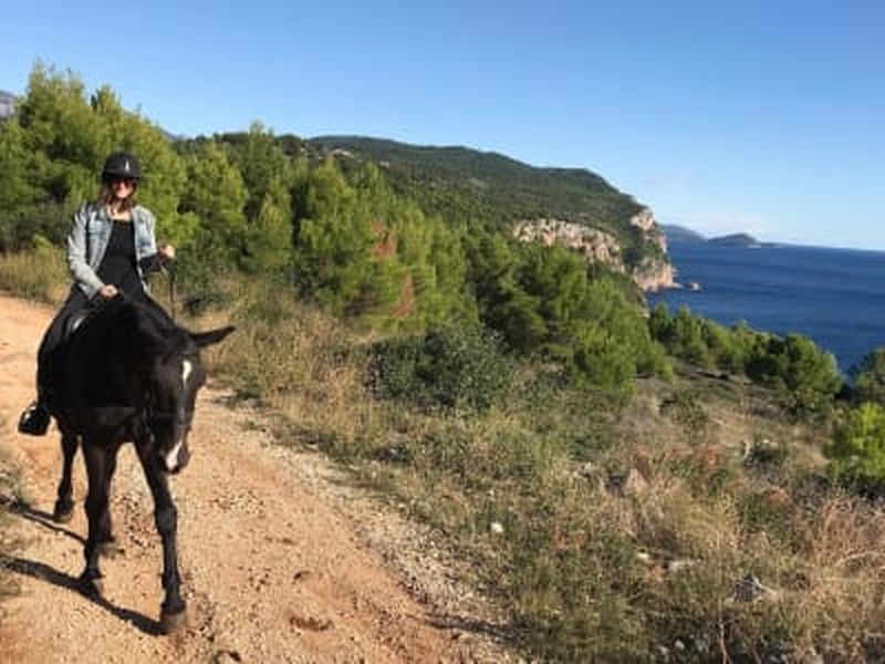 Billet Randonnée à cheval guidée dans la vallée de Konavle au départ de Dubrovnik