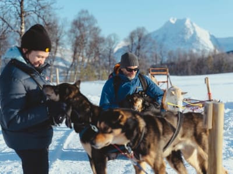 Billet Traîneau à chiens et expérience avec des huskys près des Alpes de Lyngen depuis Tromsø
