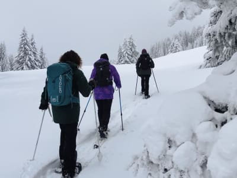 Billet Randonnée guidée en raquettes aux chalets de la Fullie, près du lac du Bourget