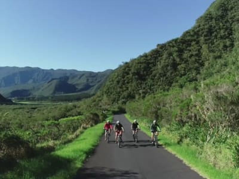 Billet Excursion VTT électrique dans les forêts de Bébour et de Bélouve, La Réunion
