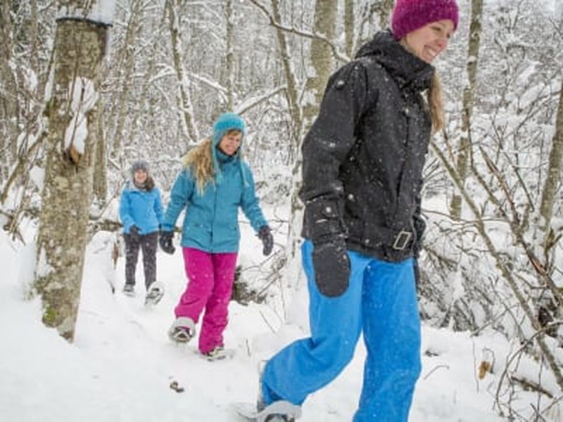Billet Excursion en raquettes dans le parc national de la Jacques-Cartier depuis Québec