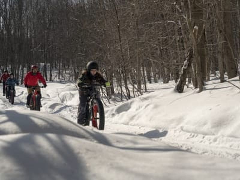 Billet Location de Fat Bike dans le Parc des Îles-de-Boucherville, Montréal