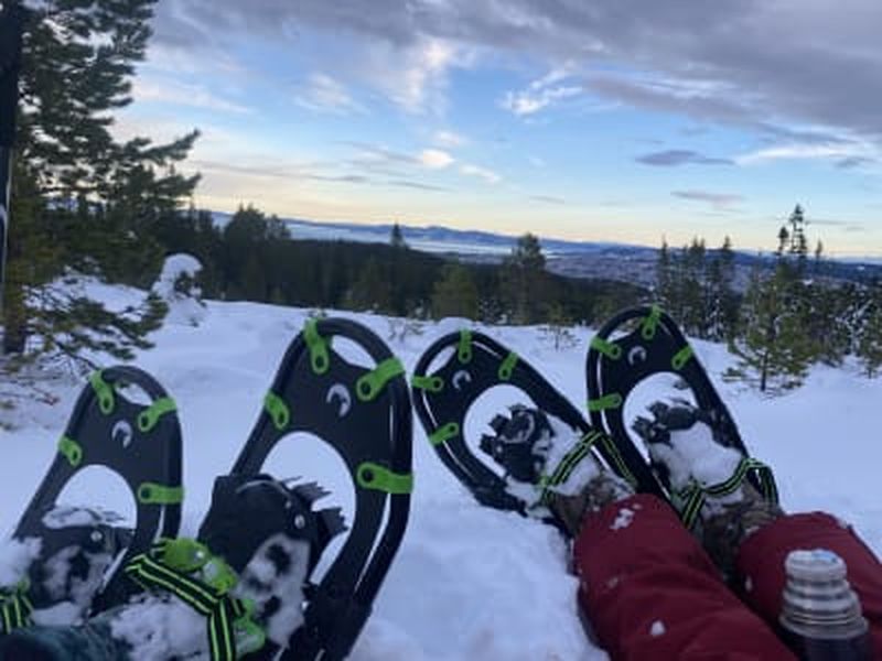 Billet Excursion en raquettes à Bymarka au départ de Trondheim