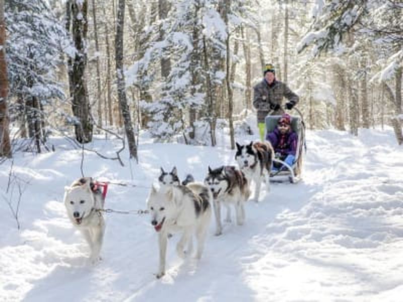Billet Excursion en chiens de traîneau au parc national de la Jacques-Cartier, Québec