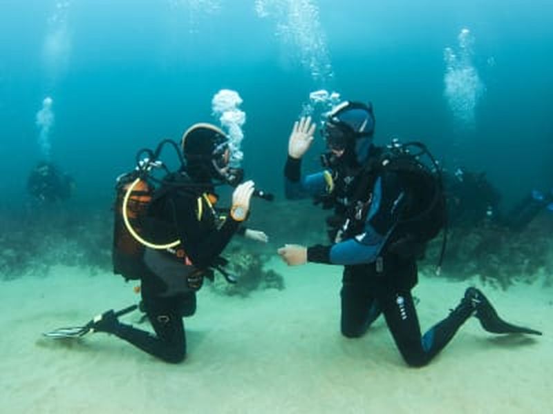 Billet Baptême de plongée et snorkeling dans la réserve naturelle de Berlengas, Peniche